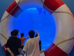 -烟台海昌鲸鲨海洋公园