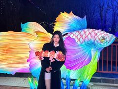 -郑州方特梦幻王国