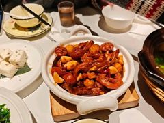 -阿露佳·安吉菜