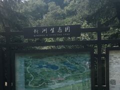 -新洲生态园