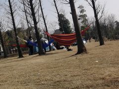 -两河城市森林公园