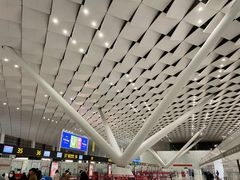 -郑州新郑国际机场-T2航站楼