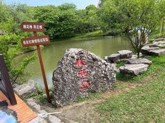 -天生桥景区