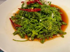 葱油夜香花-茶人村·宫廷私厨(奥体印象城店)