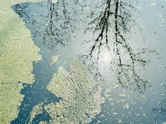 -东郊湿地公园