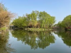 -溱湖国家湿地公园