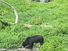 -上海野生动物园