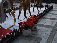 -小白楼1902欧式风情街