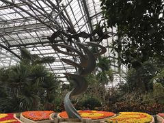 -南山植物园
