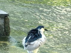 -苏州河梦清园环保主题公园