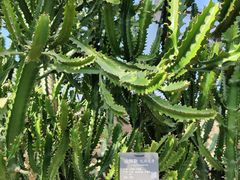 -北京植物园-展览温室