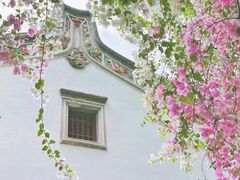 -深圳国际园林花卉博览园