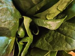 -南门四季铜锅涮肉(大屯·北苑店)