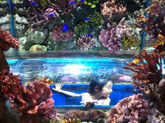 -暹罗海洋世界