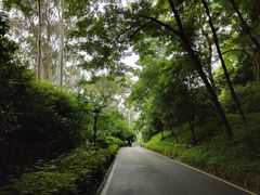 -三门江国家森林公园