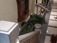 -金河半岛园林酒家(金融城店)