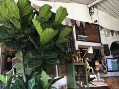 -懒鱼时光馆(沙坪坝店)