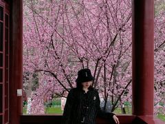 -堤角公园