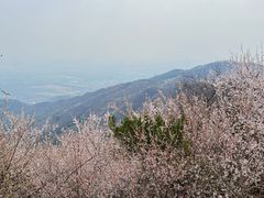 -香山公园