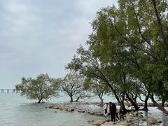 -宝安西湾红树林湿地公园