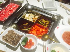 -海底捞火锅(高科广场店)