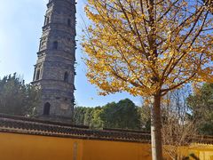 -上海青龙寺