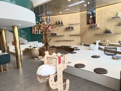 大堂-飞行喵MR PILOT|猫舍·猫咖(静安大融城店)