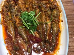 松花江牛尾巴鱼-胖姐渔村(中源大道店)