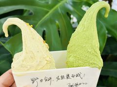 -野人先生Gelato(上海长宁龙之梦店)