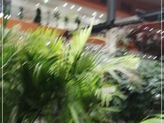 -君临七星生态酒店