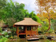 -望江楼公园