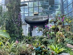 -东莞植物园