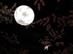 -蓝鲸湾汤泉(包河店)