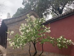 -永乐宫