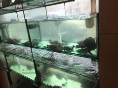 -合家小菜餐馆(新诚花苑店)