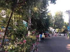 -伊犁老城喀赞其民俗旅游区