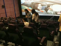 -保定金棕榈先天下国际影城(LUXE)