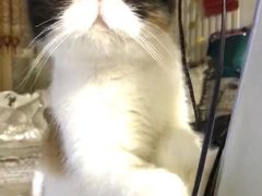 -到家尝北京菜(西坝河店)