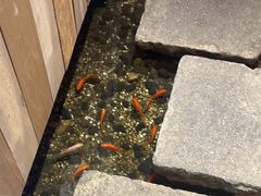 -邈墨茶馆(凤起路店)