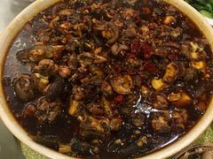 老幺泉水鸡-老幺泉水鸡