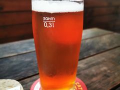-Boxing Cat Brewery拳击猫精酿啤酒馆(永福店)