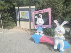 -日照海滨国家森林公园