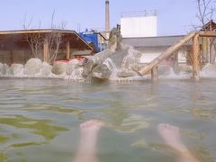 -华山御温泉度假村