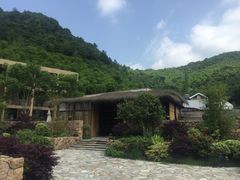 -看见远方·莫干遥远的山民宿