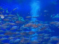 -成都浩海立方海洋公园