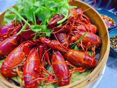 清蒸龙虾-袁老大龙虾(石鼓路总店)