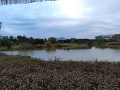 -琅岐红光湖公园