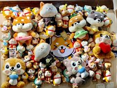 -逗柴咖啡屋·狗咖猫咖宠物桌游