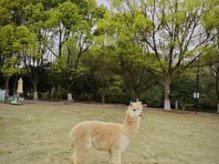 -宁波野生动物园
