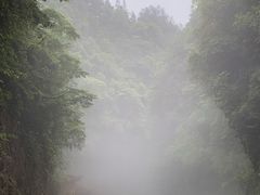 -狮子关旅游区